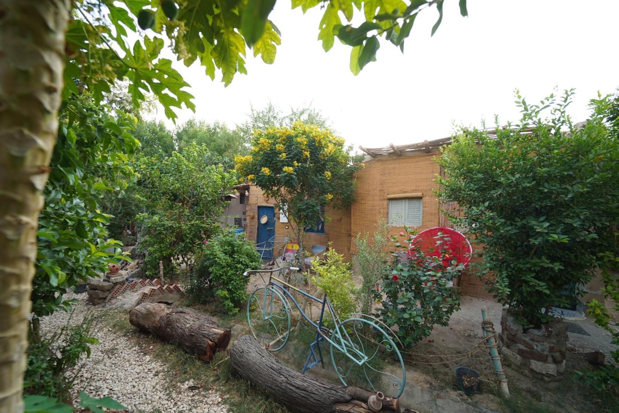 Bedouin Lodge Louxor Extérieur photo