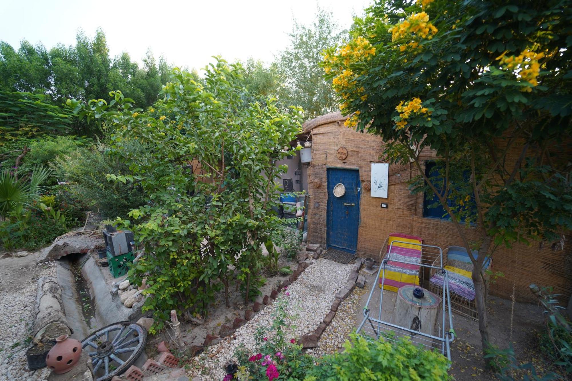 Bedouin Lodge Louxor Extérieur photo