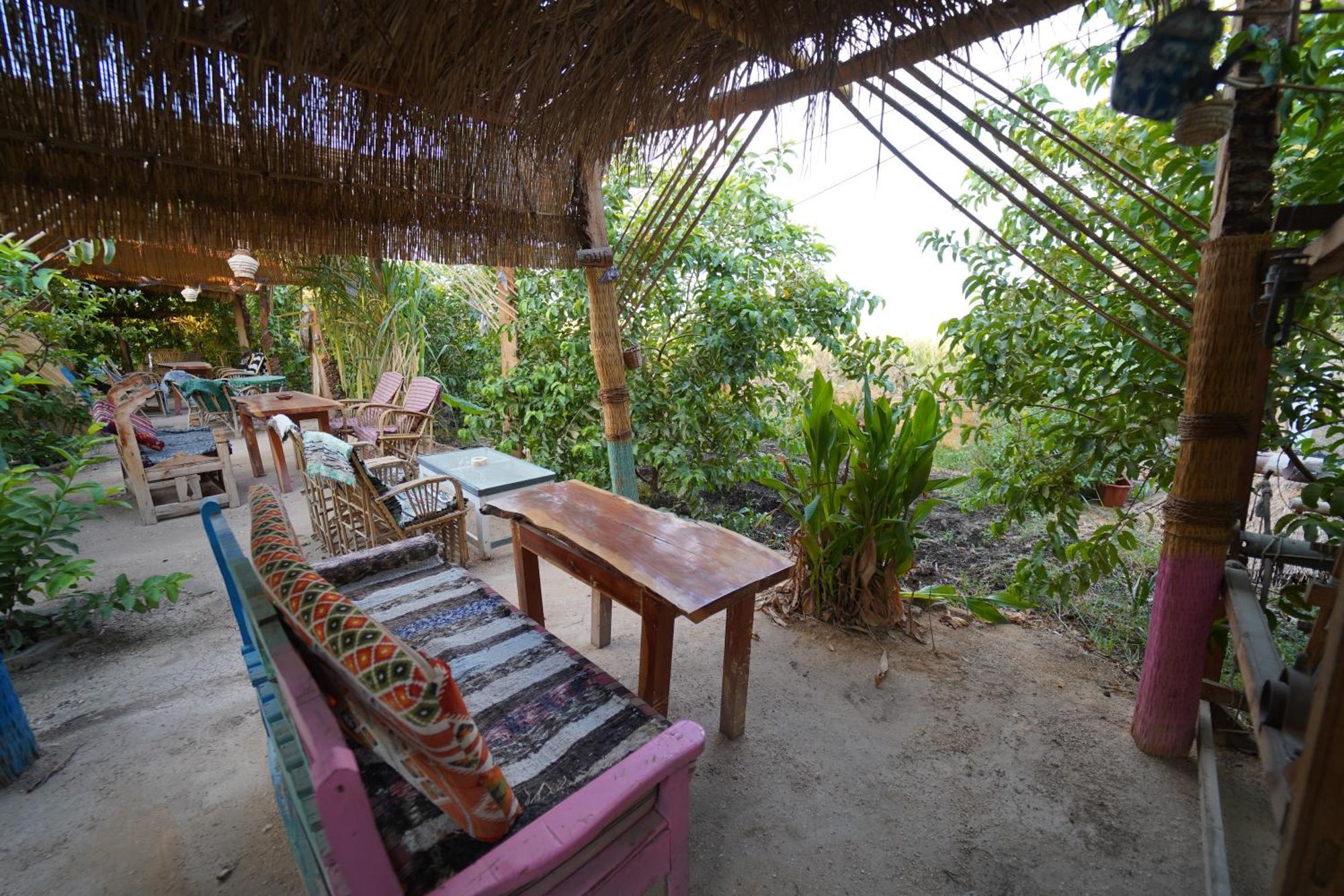 Bedouin Lodge Louxor Extérieur photo